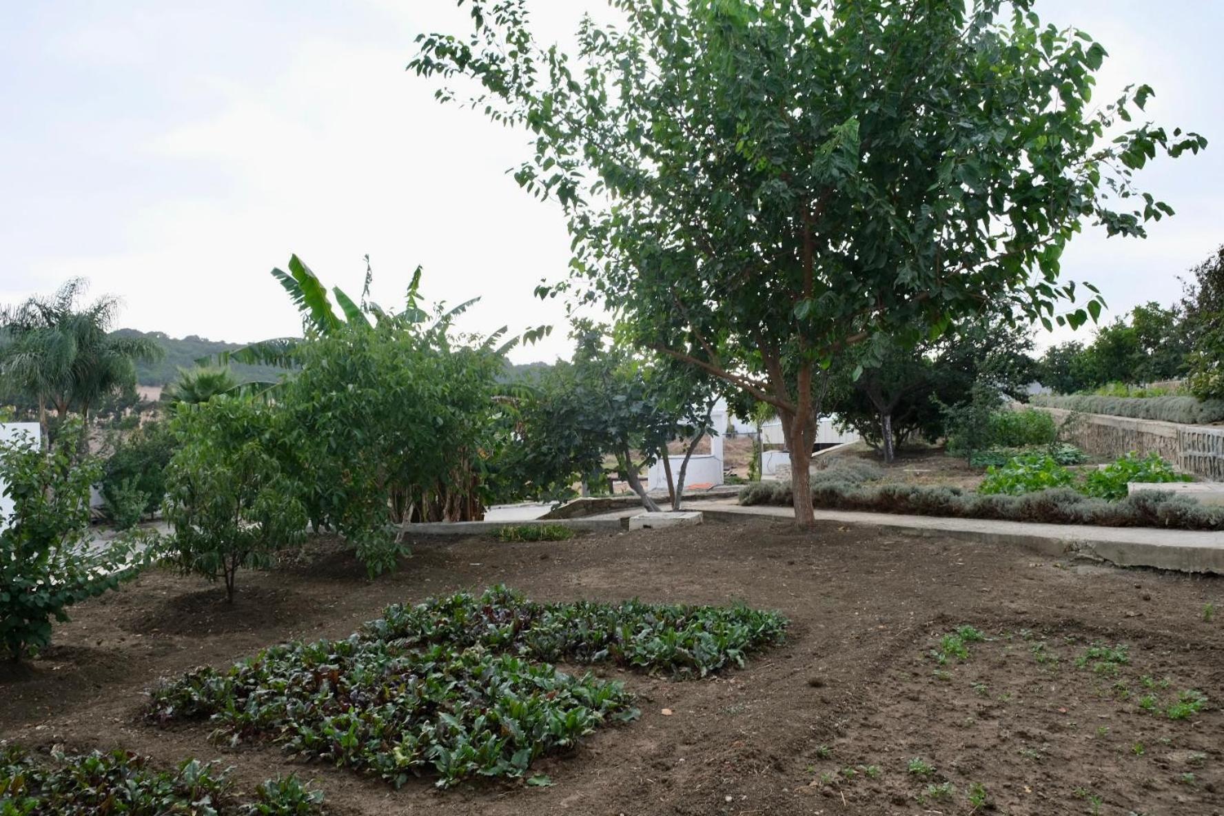 Jnane Yemma Hotel Tanger Exterior foto